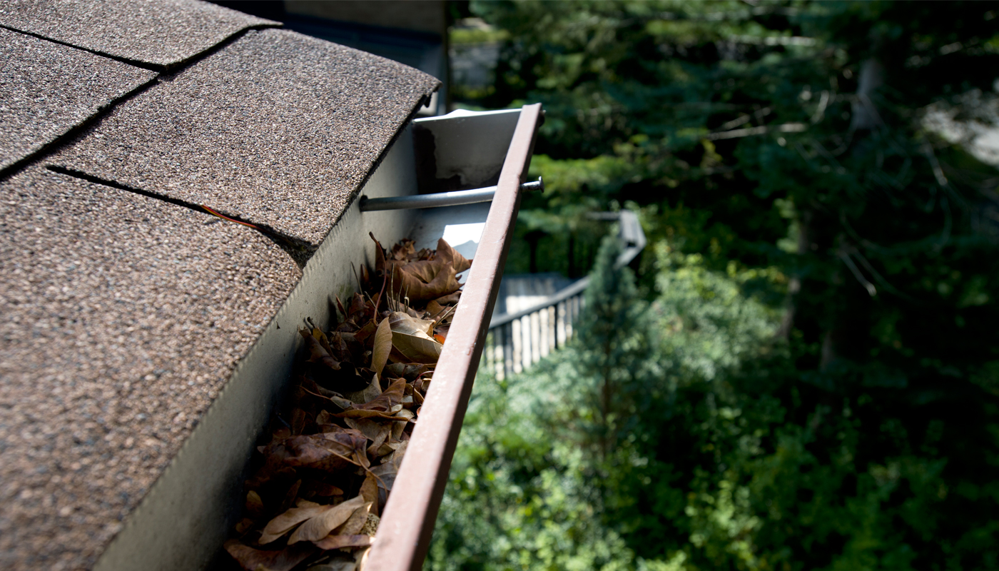 Clean out those gutters!