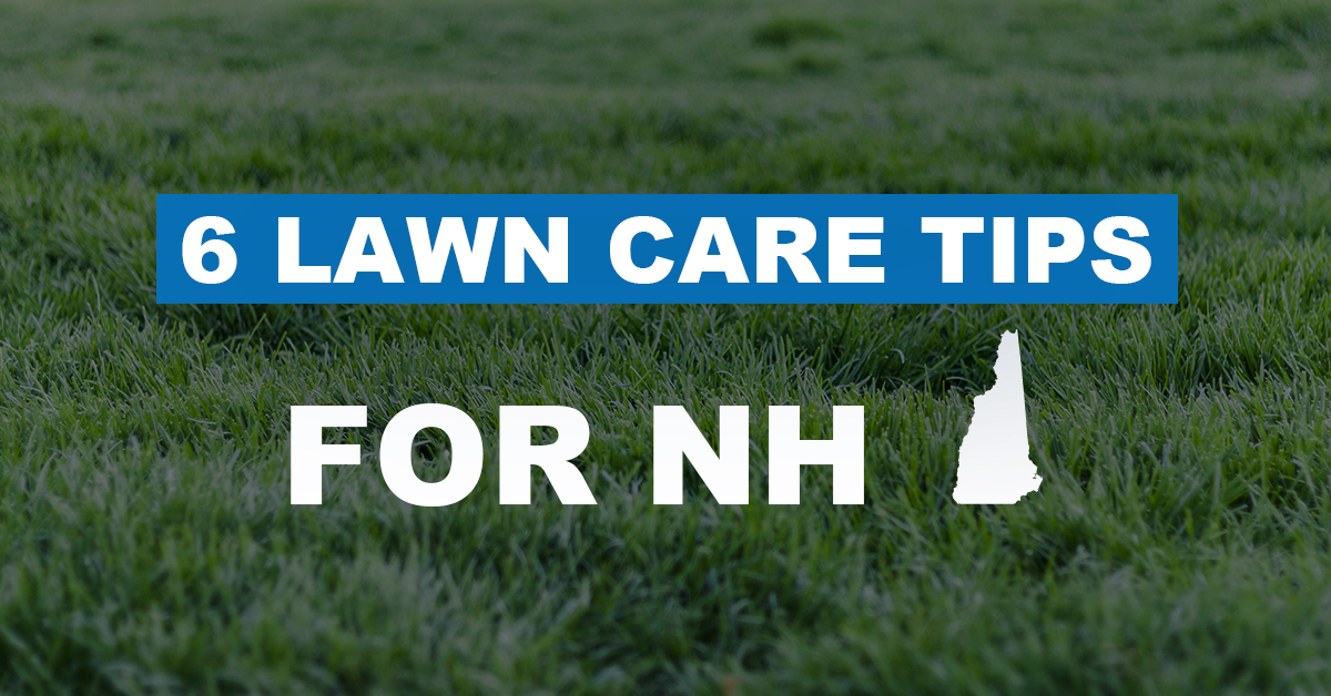 6 Lawn Care Tips for NH