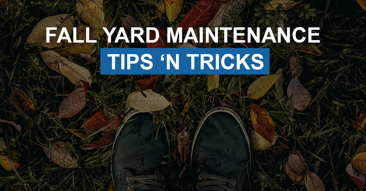 Fall Yard Maintenance Tips ‘n Tricks