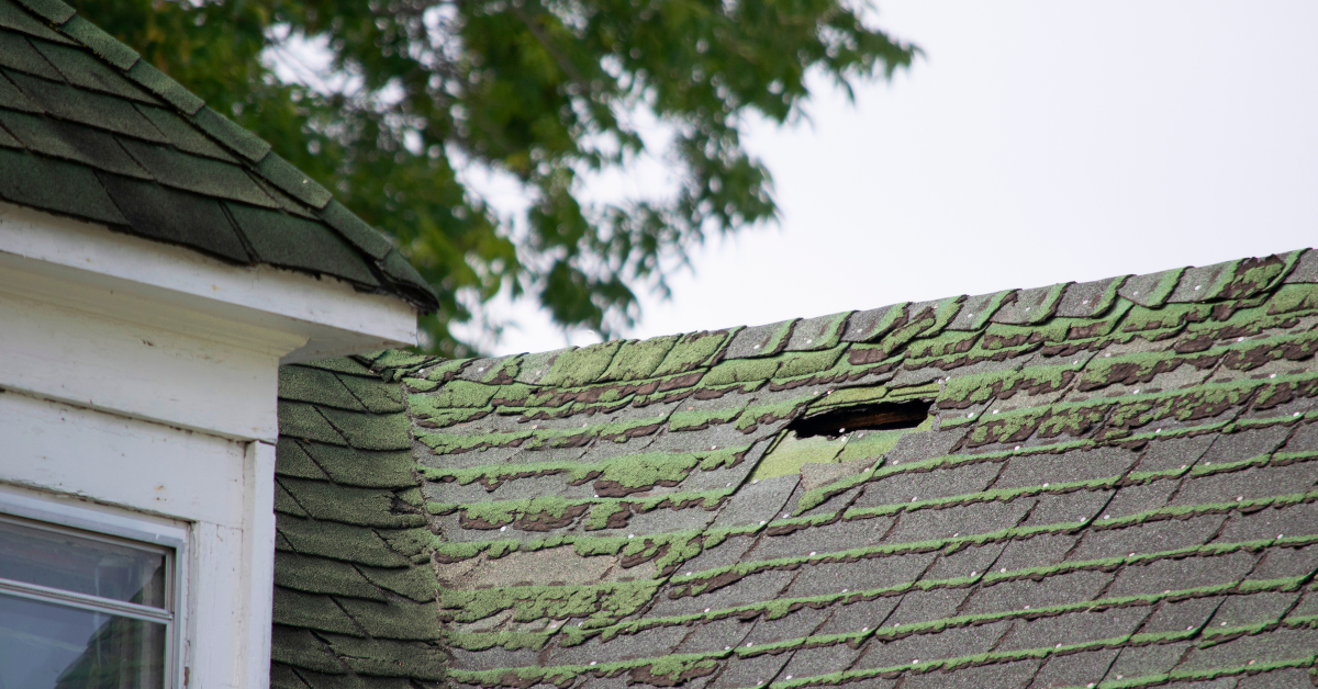 4 Very Common Roofing Issues To Know