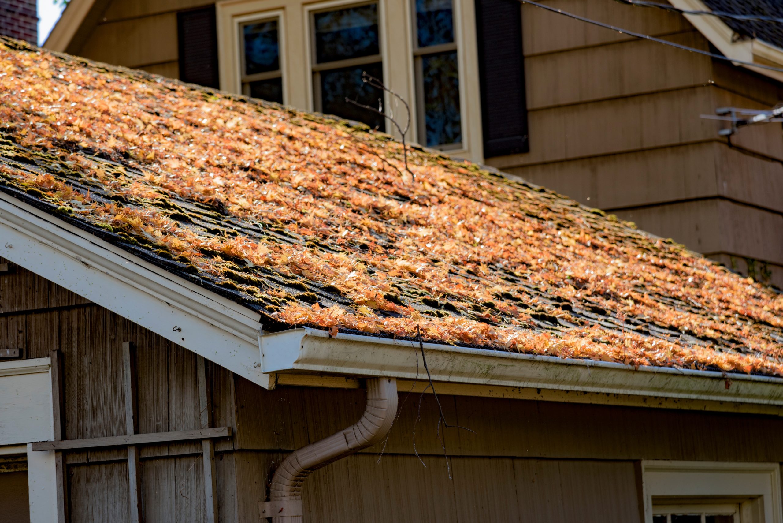 The Best Time To Clean Your Roof & Gutters: Fall Edition