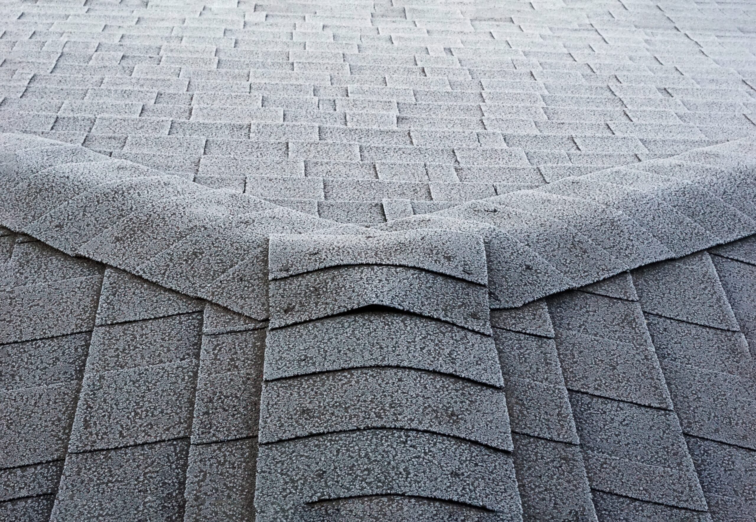 Tips For Keeping Your Roof Clean And Damage Free